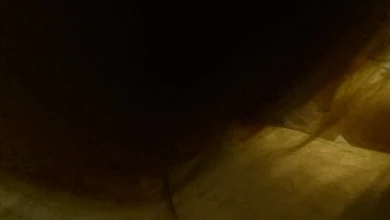 Пышная квартирантка в маске и сексуальном белье ебется с хозяином для его домашней коллекции видео